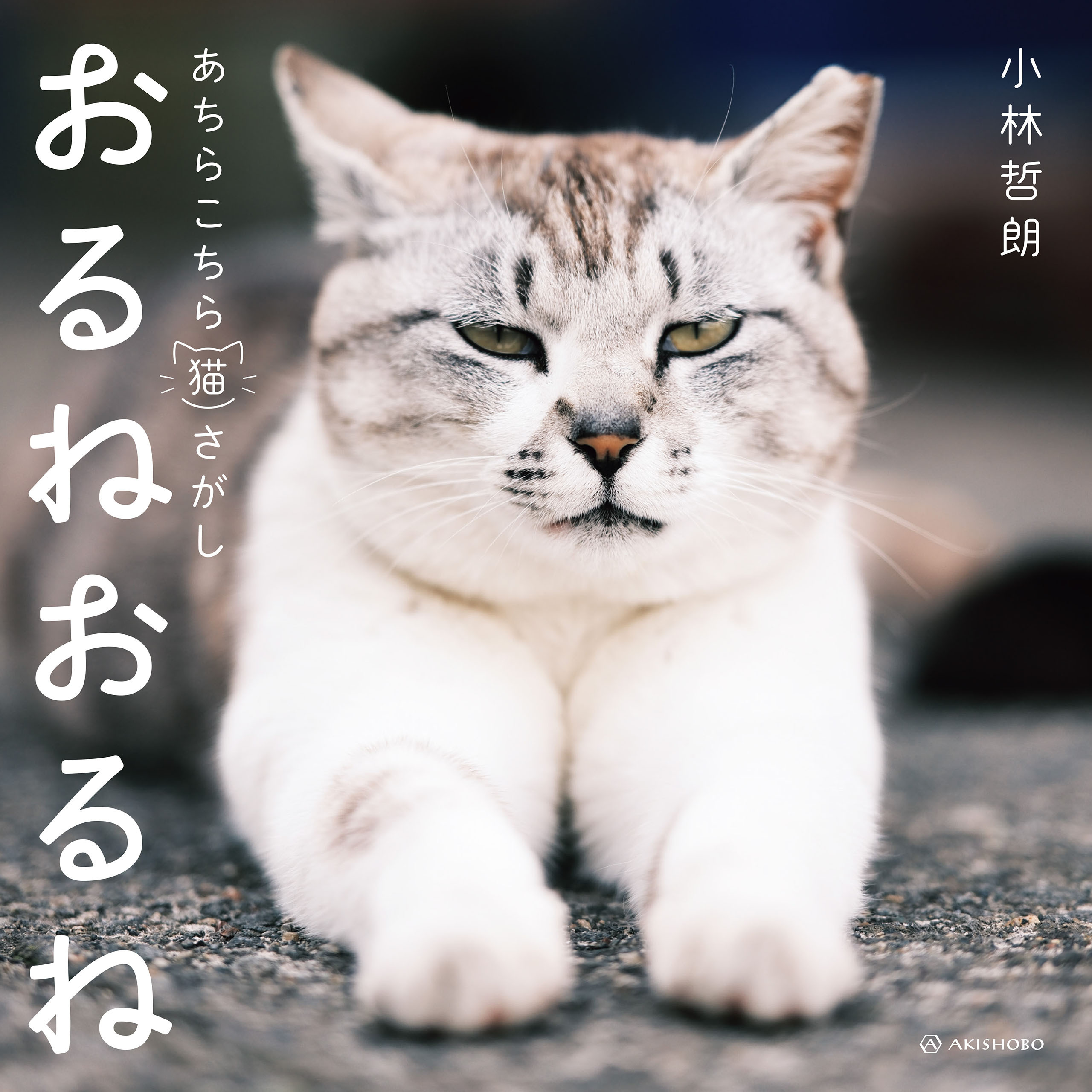 おるねおるね──あちらこちら猫さがし