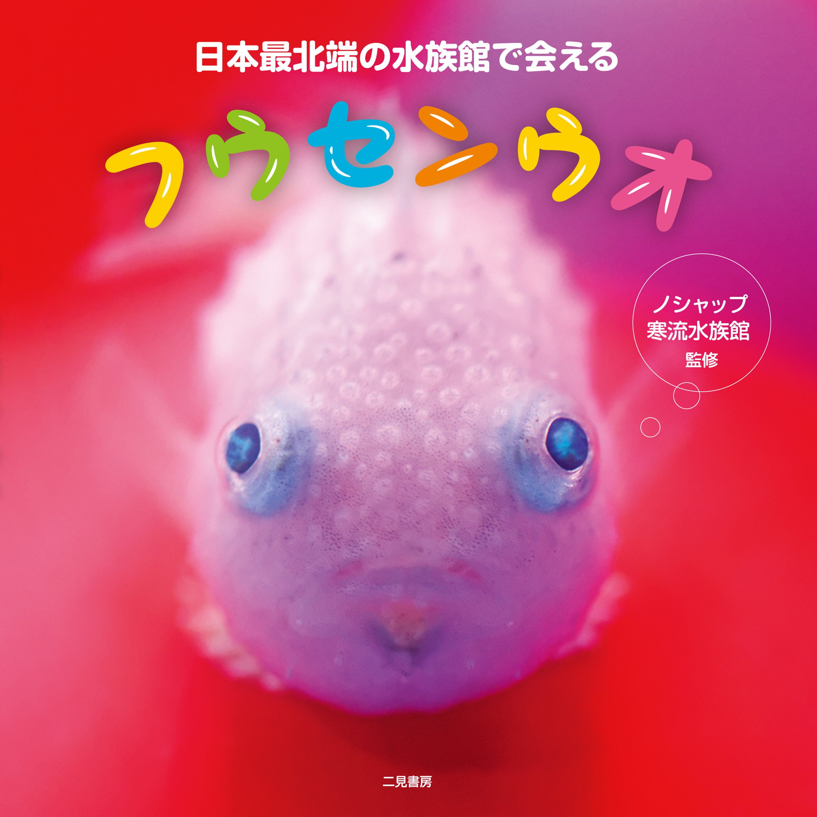 日本最北端の水族館で会えるフウセンウオ