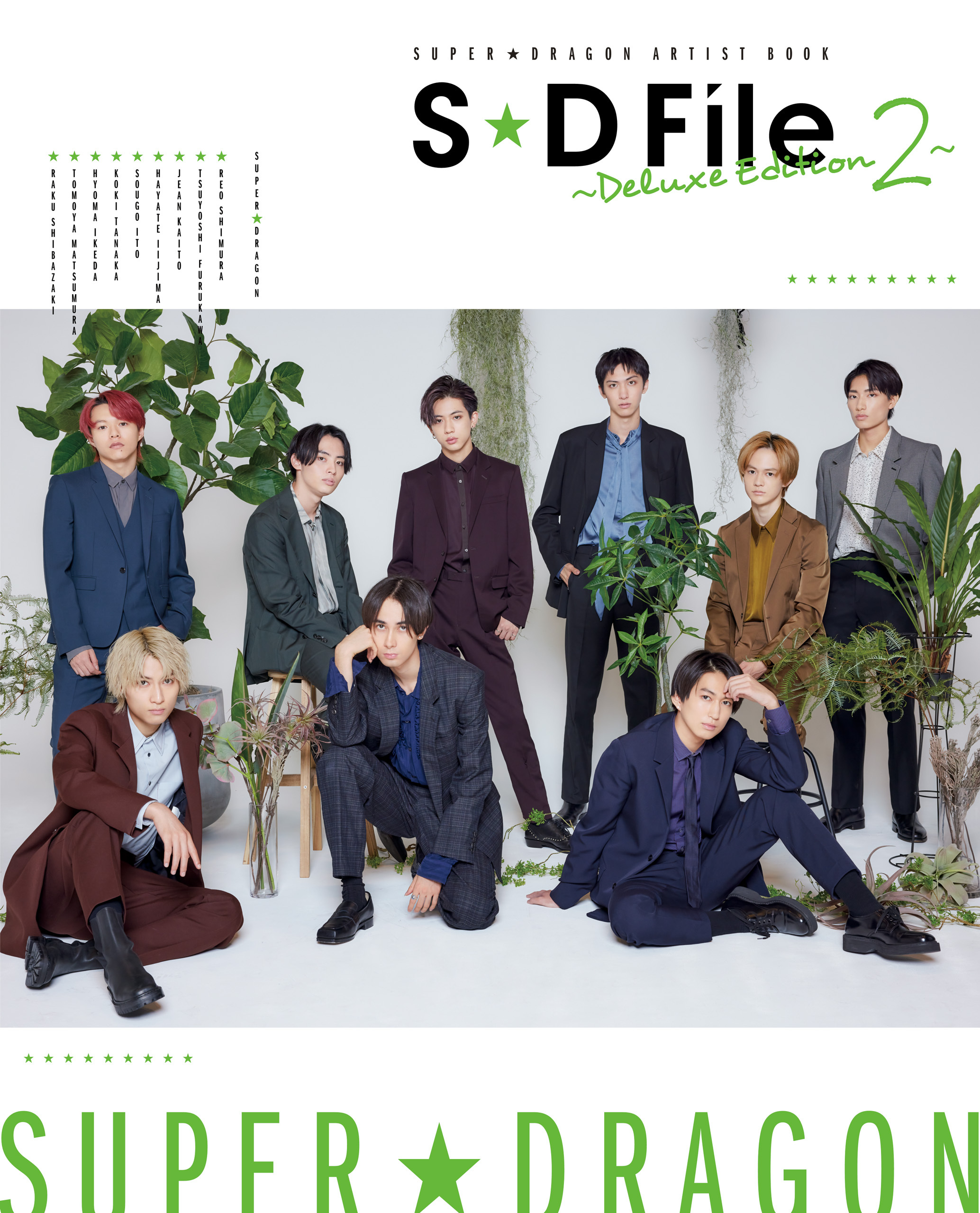 SUPER★DRAGON ARTIST BOOK　S★D File ～Deluxe Edition 2～
