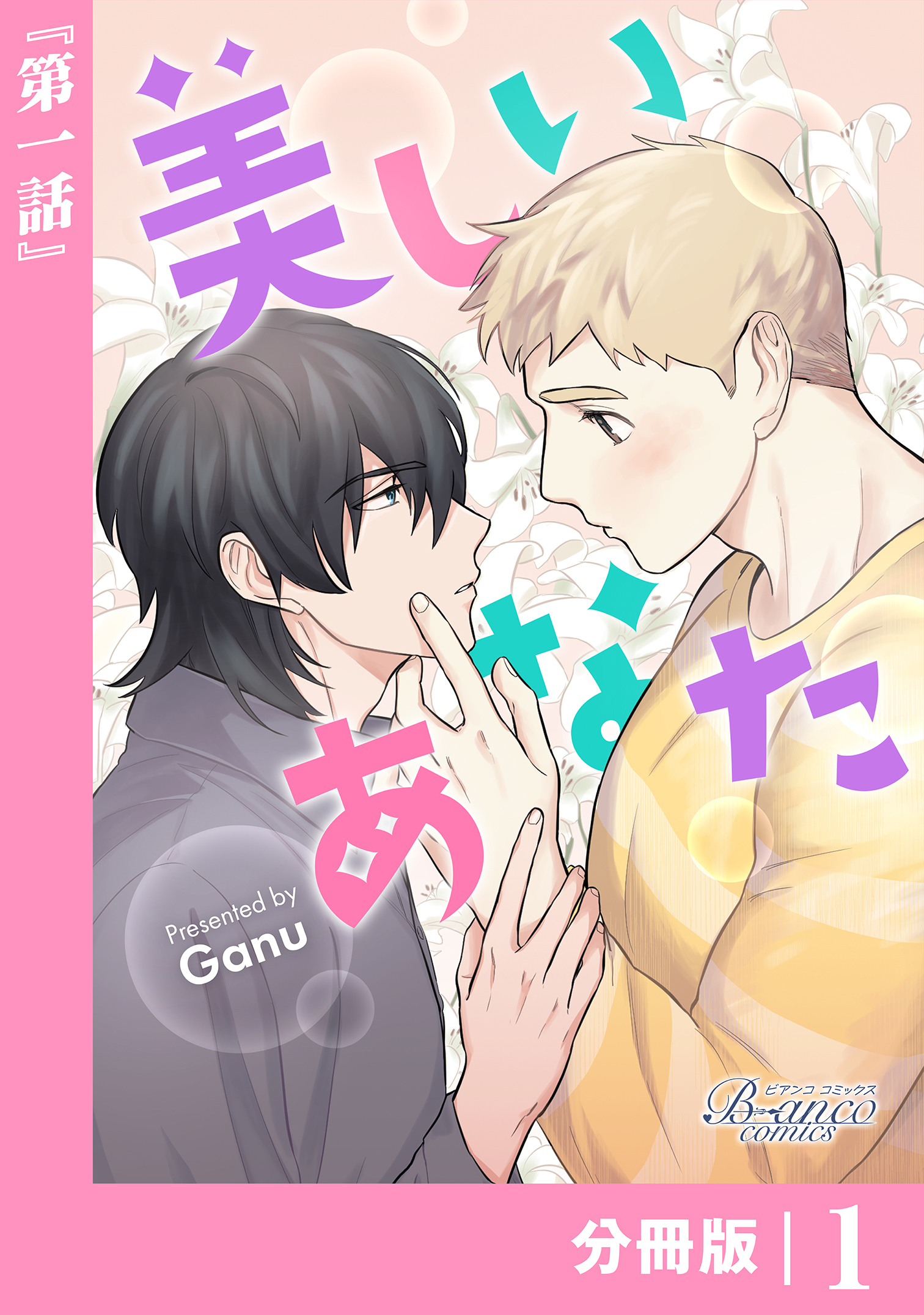 美しいあなた【分冊版】 1（ビアンココミックス）