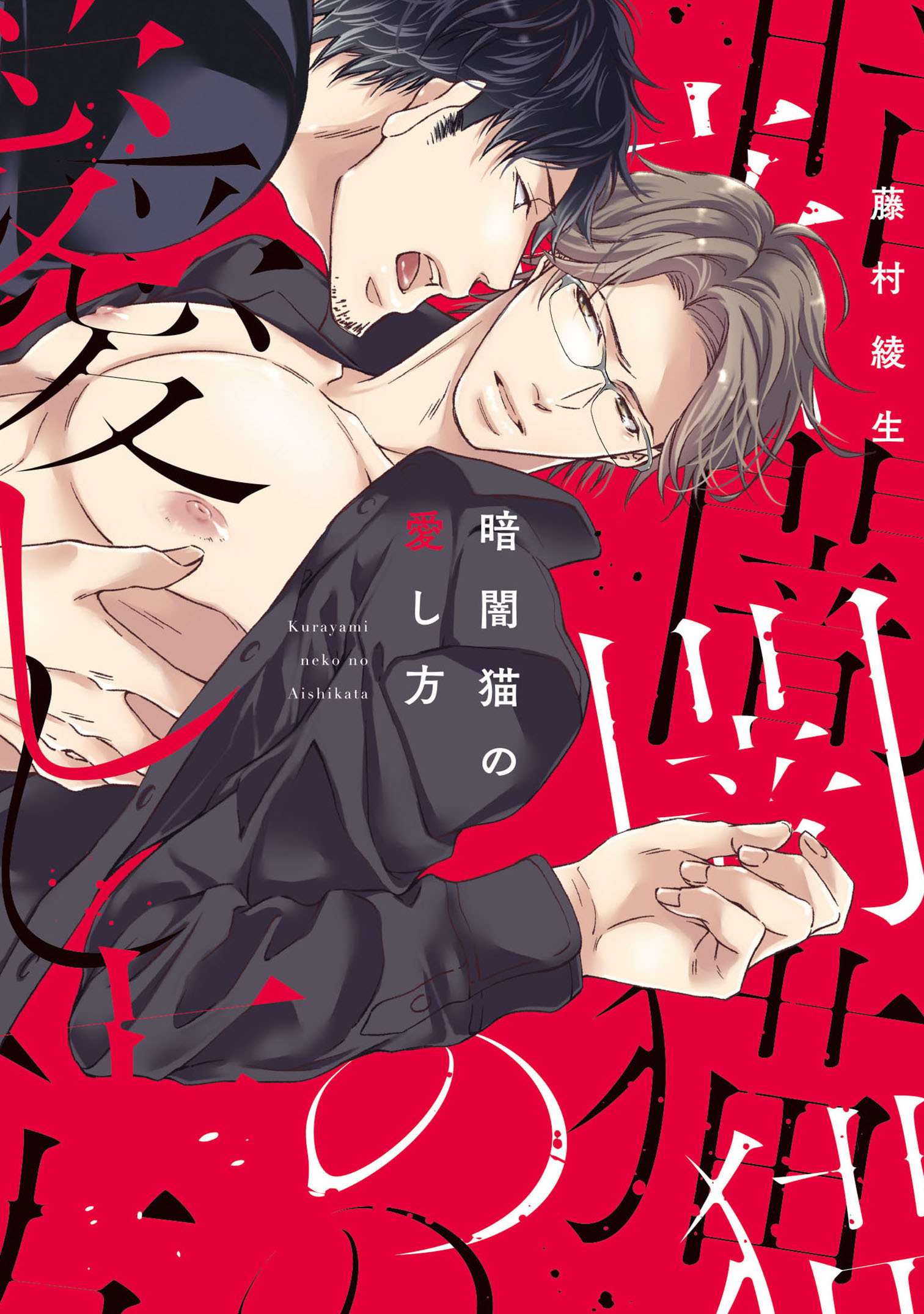 暗闇猫の愛し方