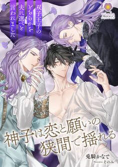 神子は恋と願いの狭間で揺れる~双子王子のどちらかを夫に選べと言われました~