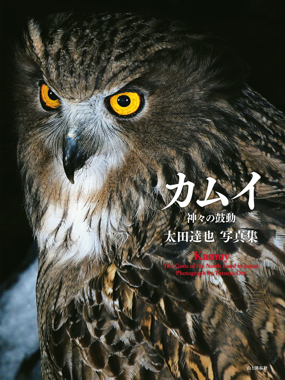 太田達也写真集　カムイ　神々の鼓動
