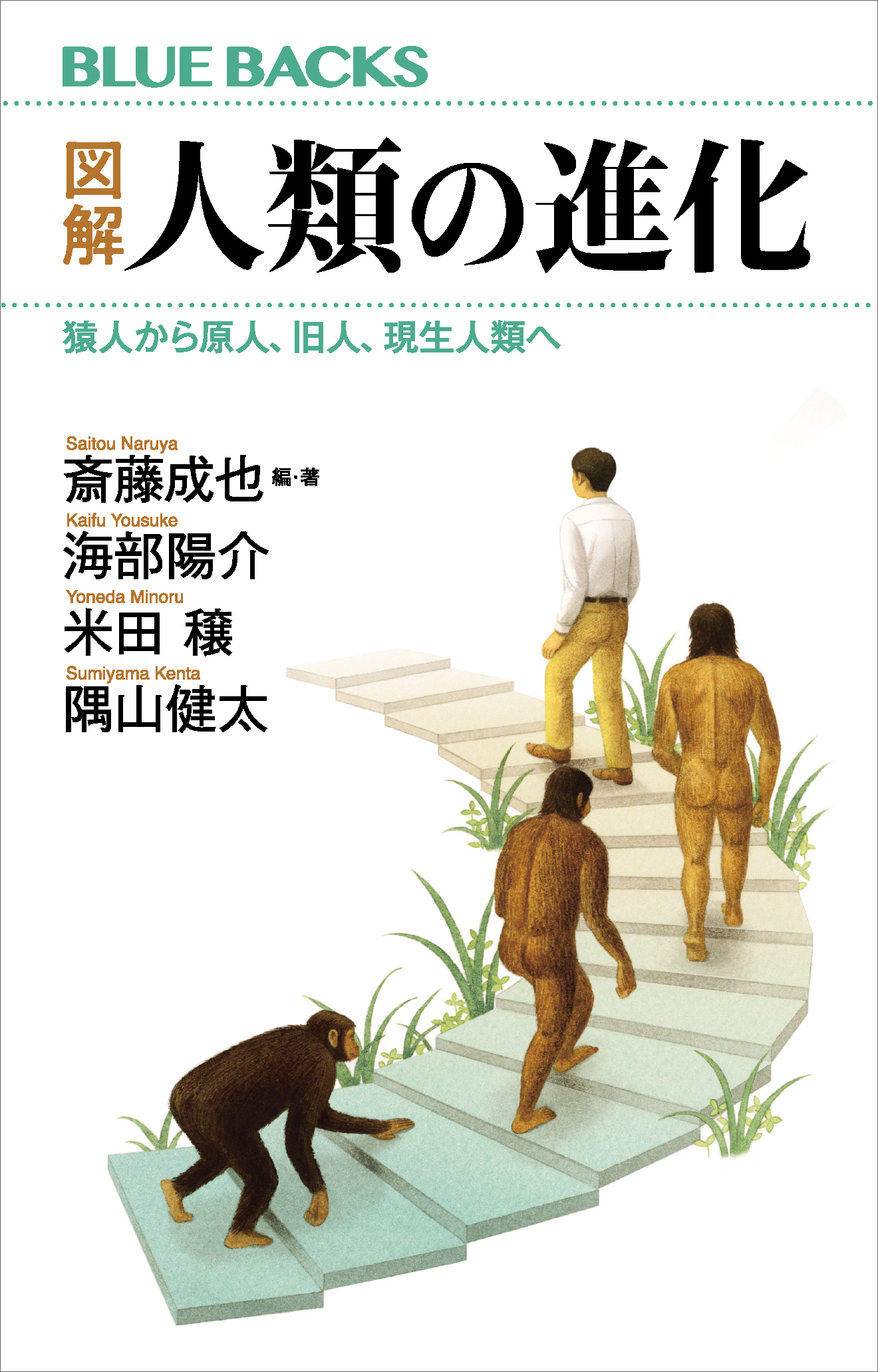 図解　人類の進化　猿人から原人、旧人、現生人類へ