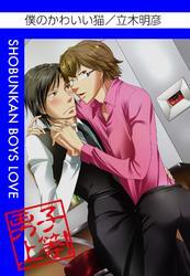 僕のかわいい猫