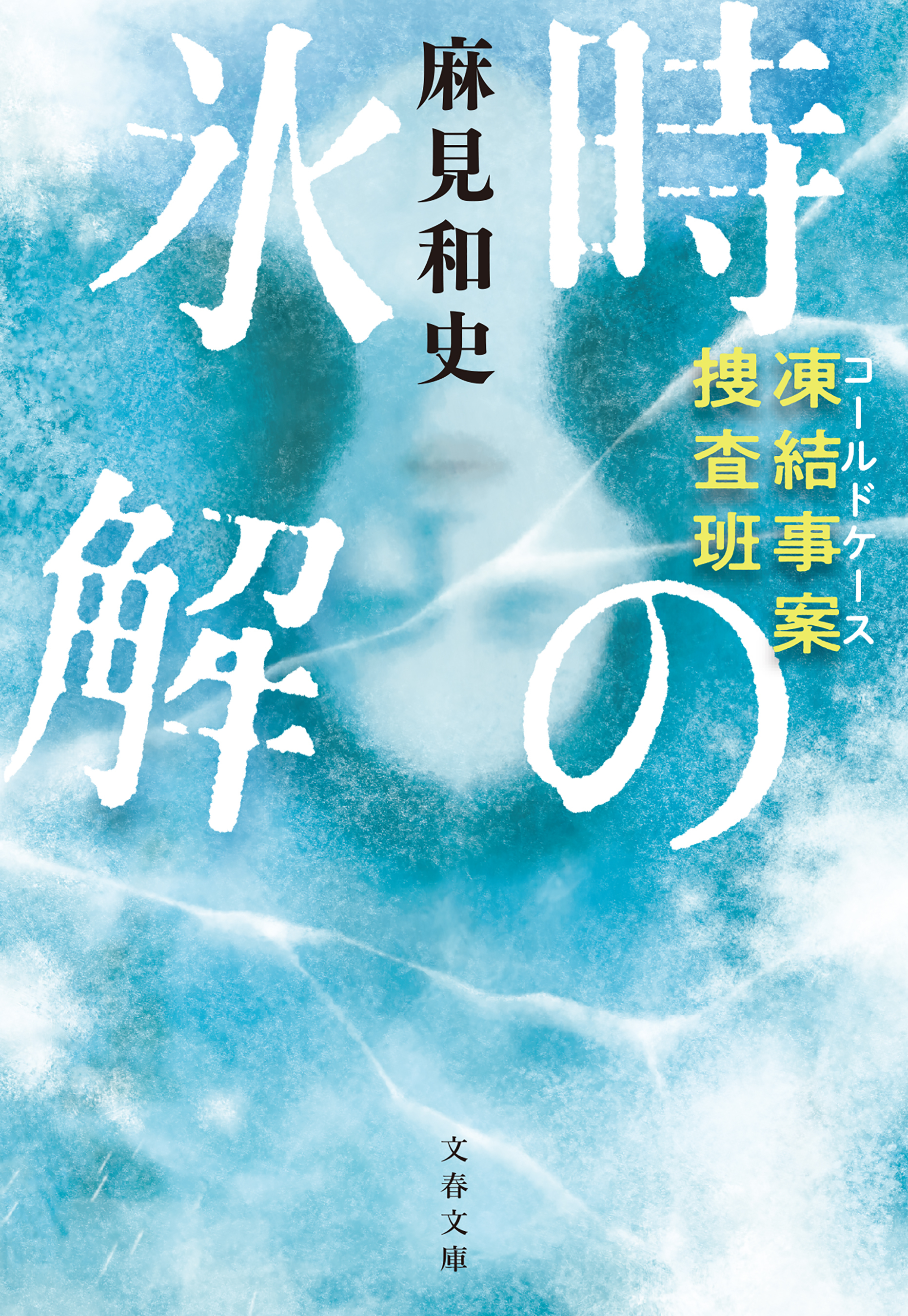 凍結事案捜査班　時の氷解
