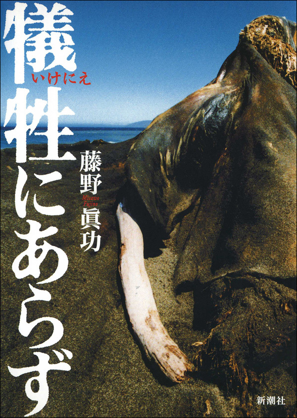 犠牲（いけにえ）にあらず