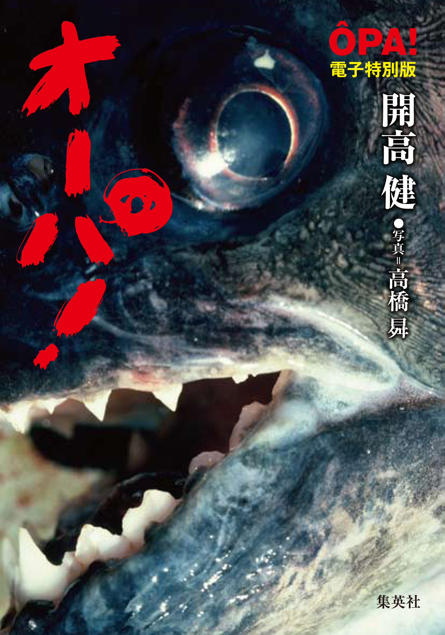 【電子特別版】オーパ！