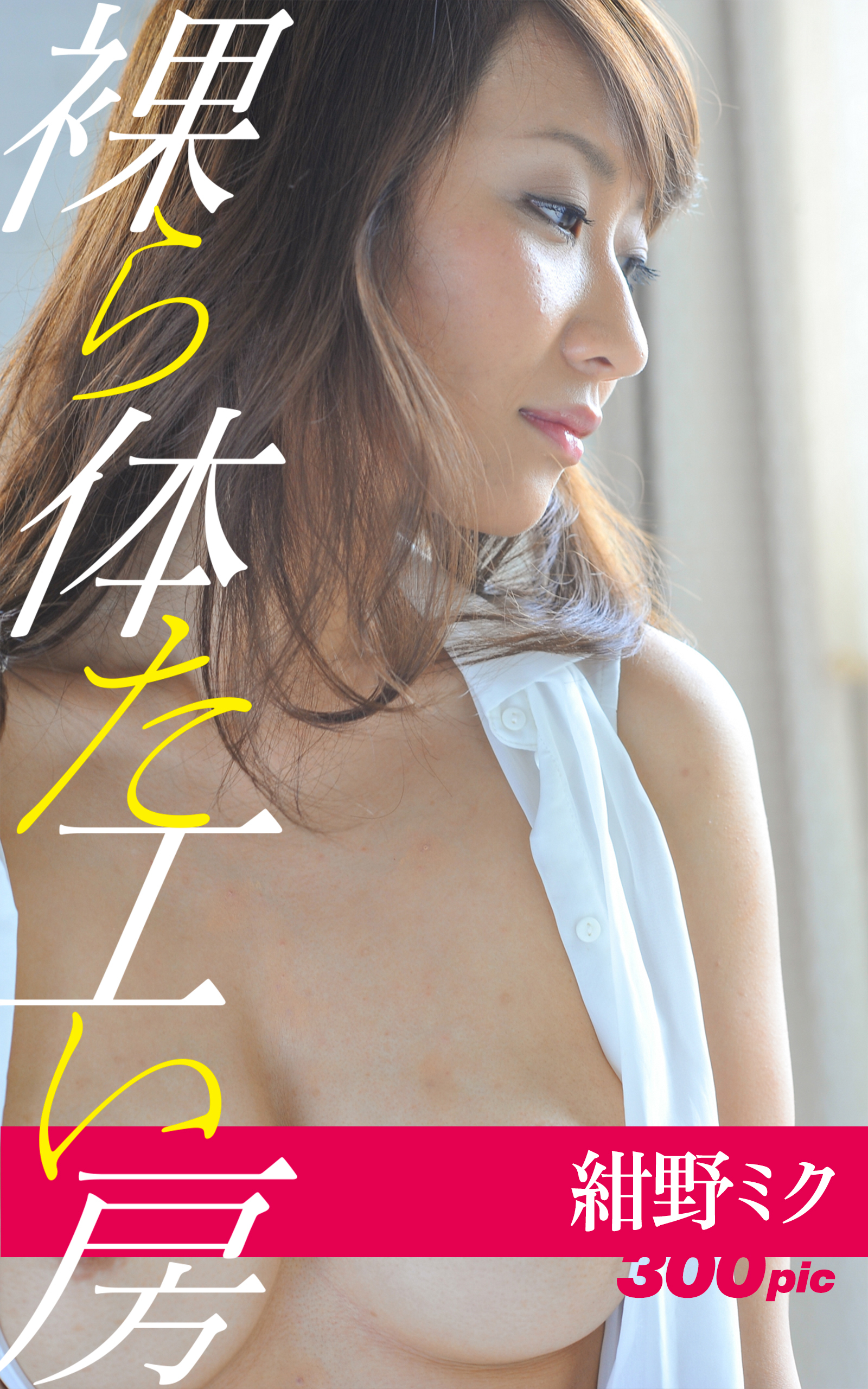 裸体工房【紺野ミク3】