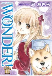 WONDER! 13