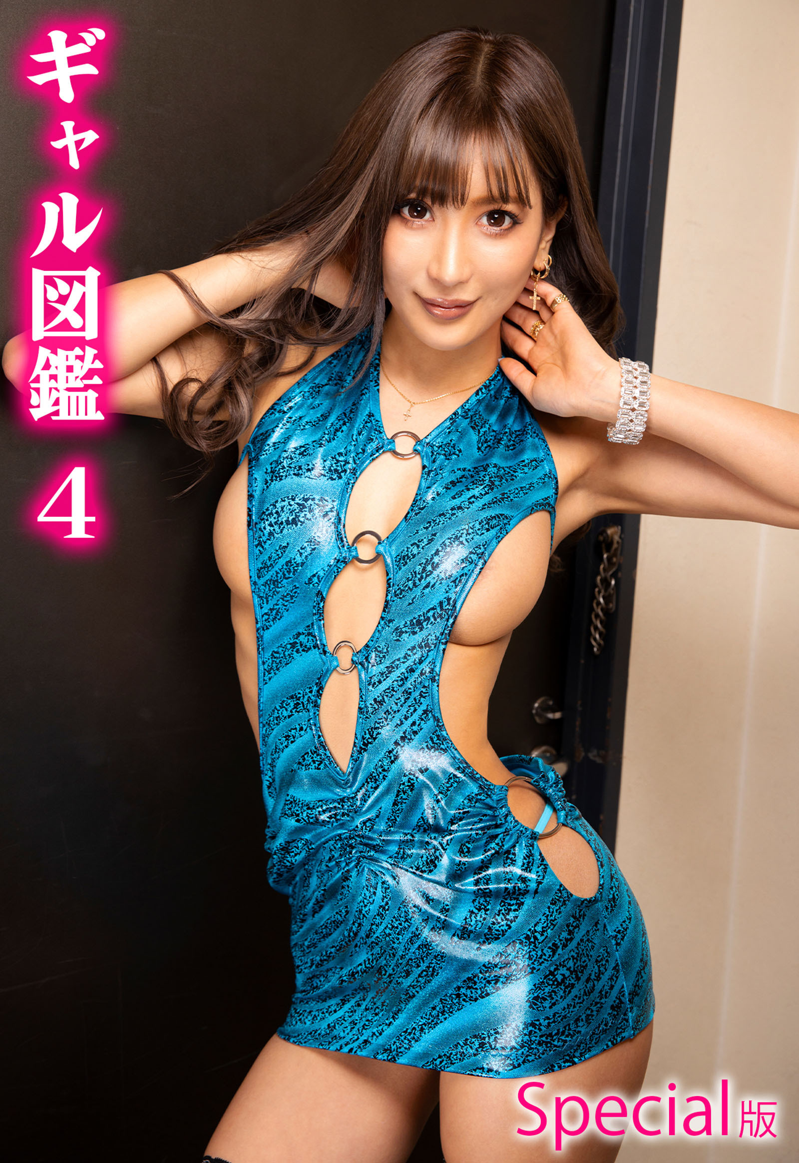 ギャル図鑑4 Special版