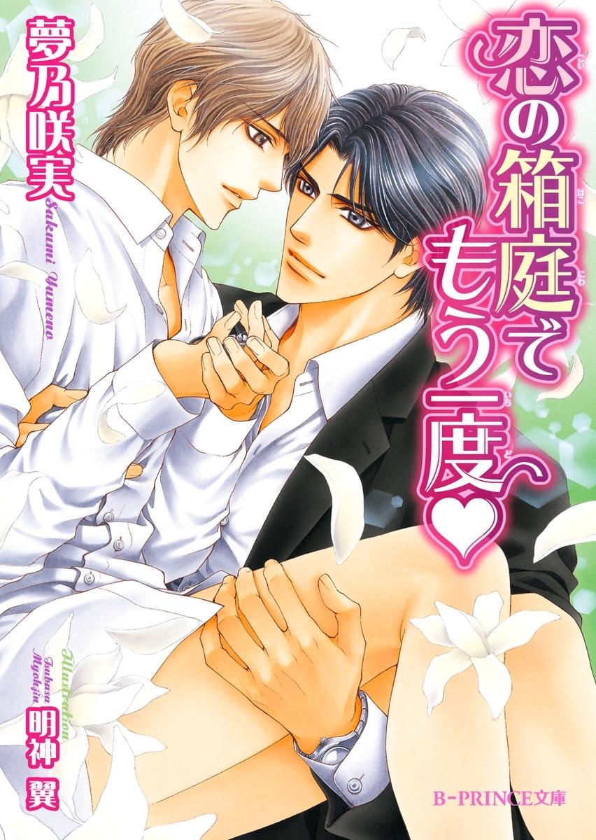 恋の箱庭でもう一度【イラスト入り】