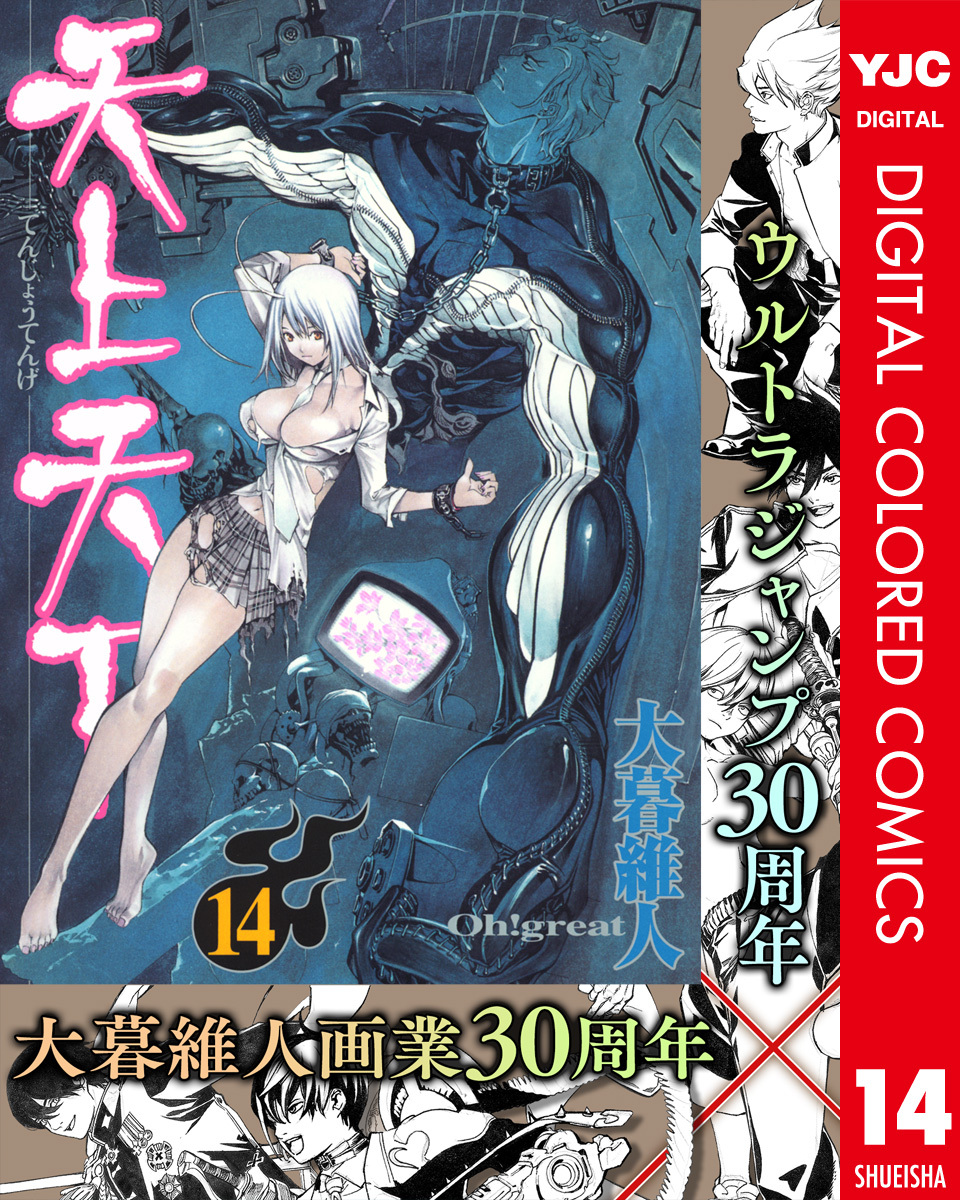 天上天下 カラー版 14