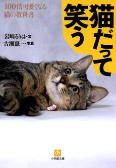 猫だって笑う100倍可愛くなる猫の教科書(小学館文庫)