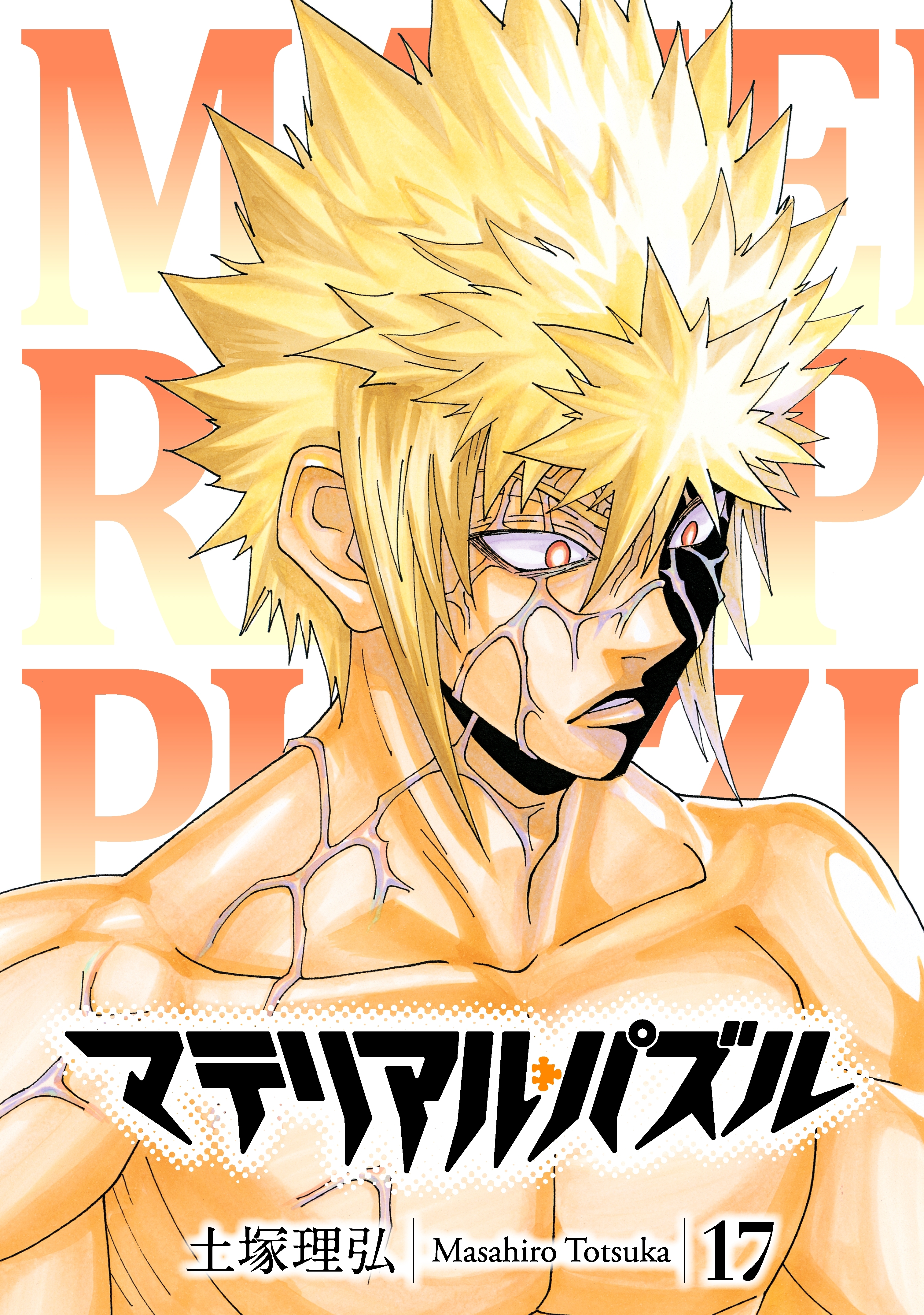 マテリアル・パズル（17）