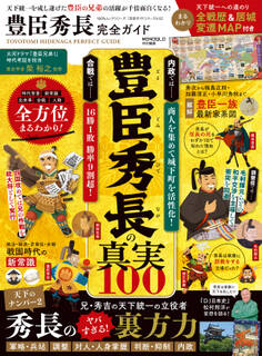 100%ムックシリーズ 完全ガイドシリーズ413 豊臣秀長完全ガイド