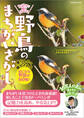 1日2分で脳が若返る!野鳥のまちがいさがし