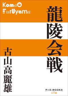 P+D BOOKS 龍陵会戦