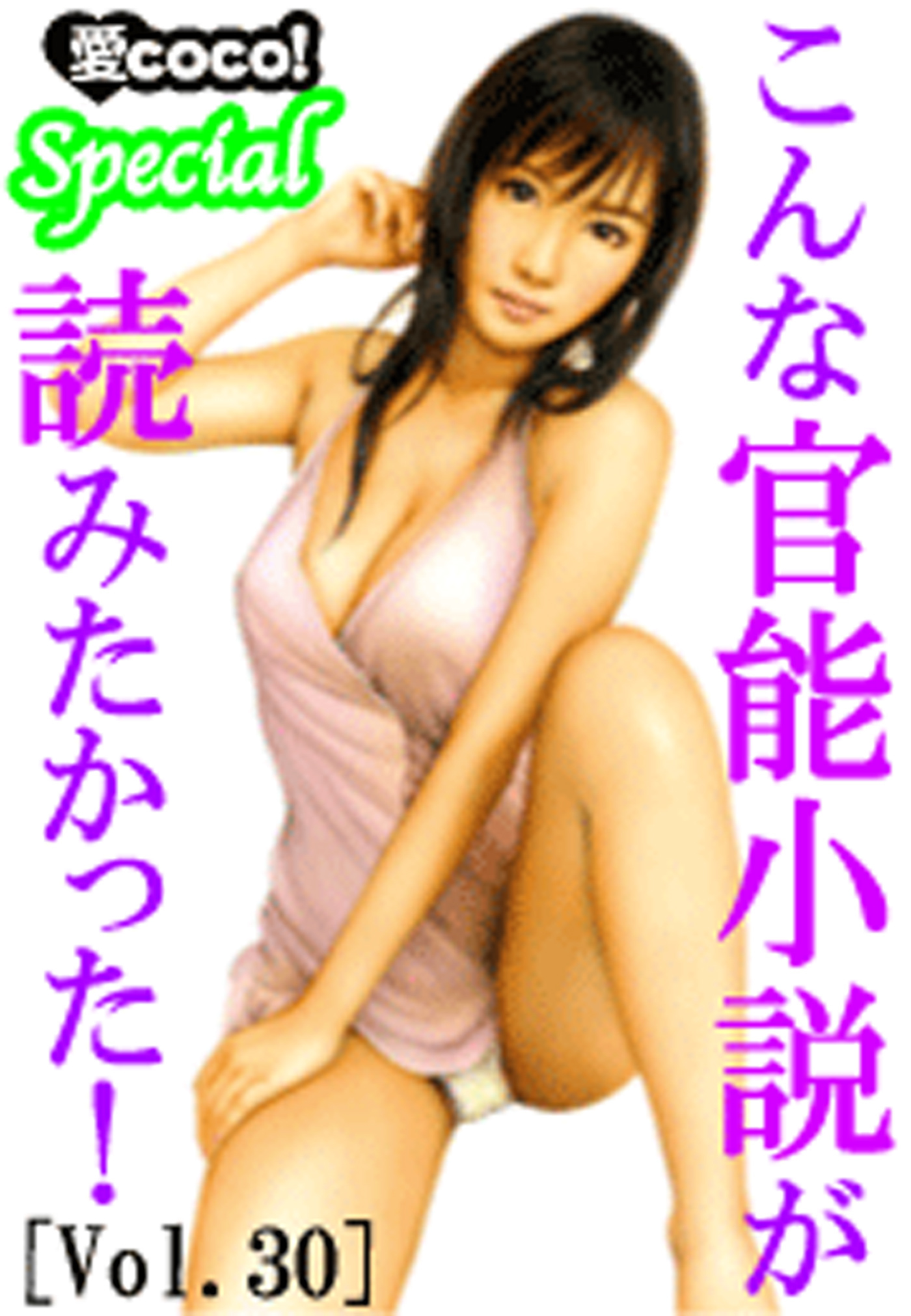 こんな官能小説が読みたかった！vol.30