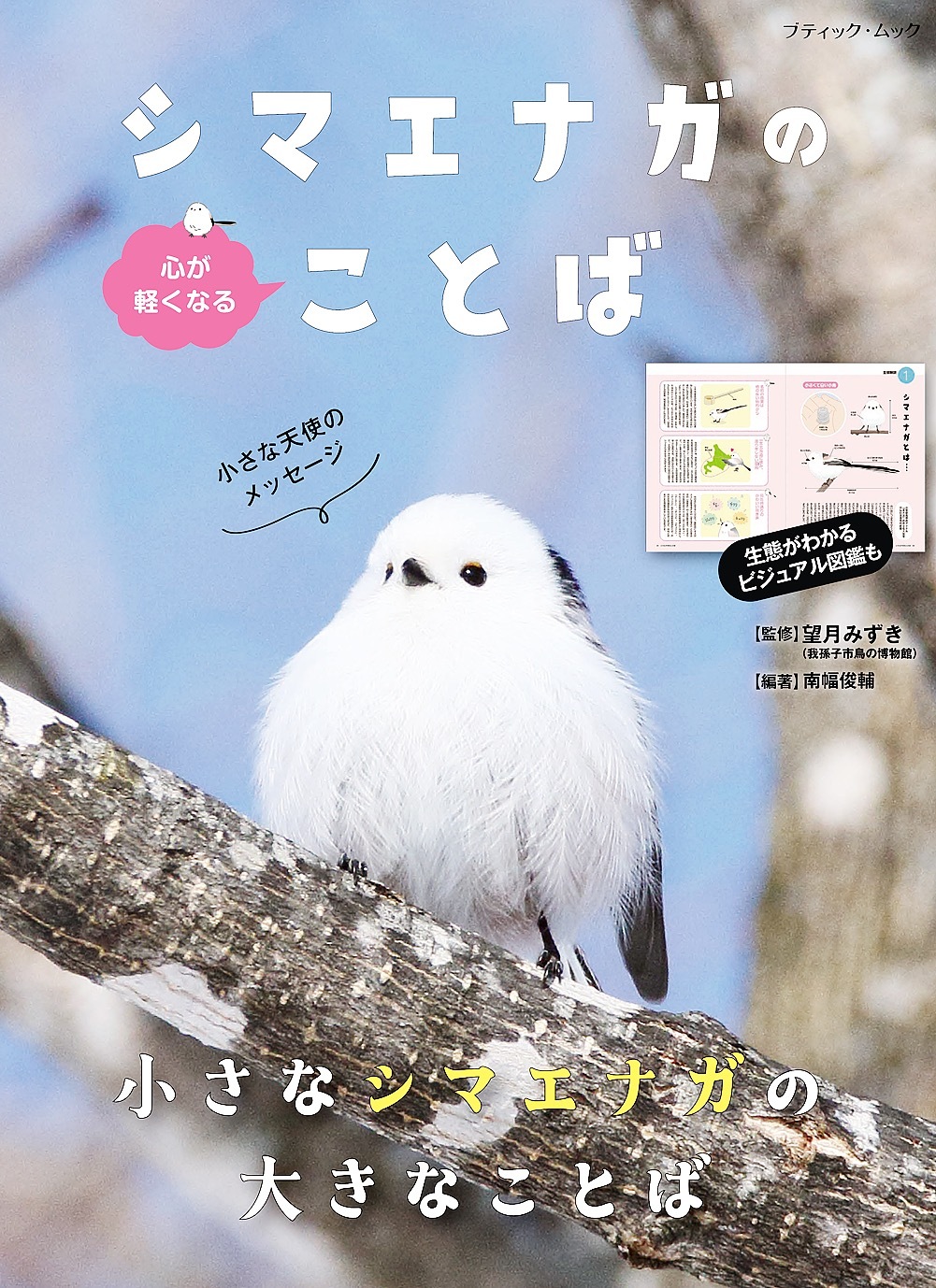 心が軽くなる シマエナガのことば