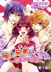 極上兄弟ハーレム～秘蜜の情事～ 1
