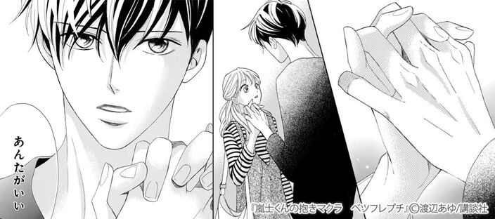 【期間限定　無料お試し版　閲覧期限2026年8月24日】嵐士くんの抱きマクラ　ベツフレプチ（１）のコマ