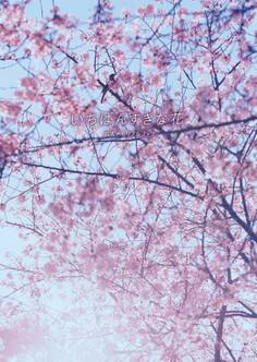 いちばんすきな花 公式メモリアルブック