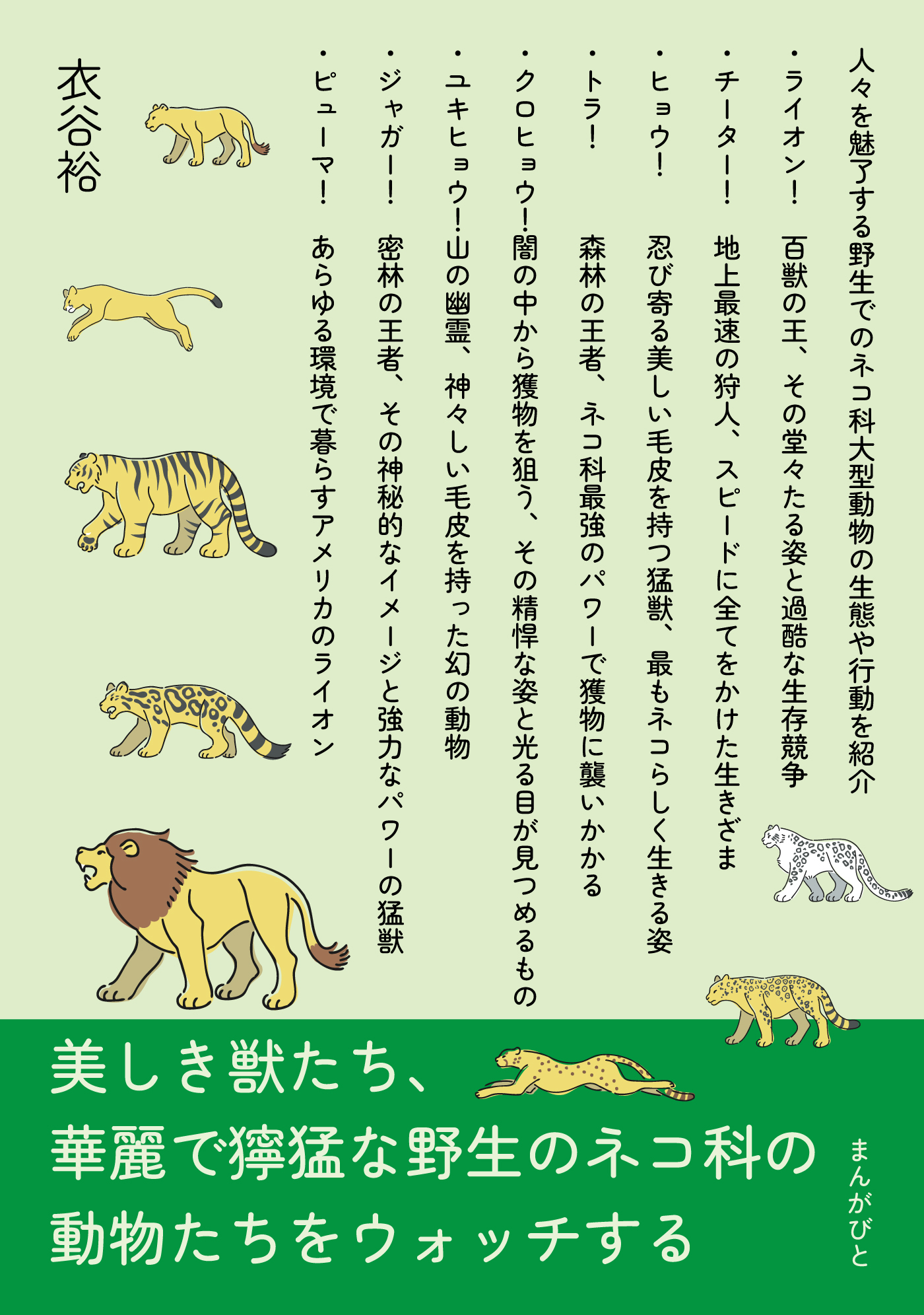 美しき獣たち、華麗で獰猛な野生のネコ科の動物たちをウォッチする