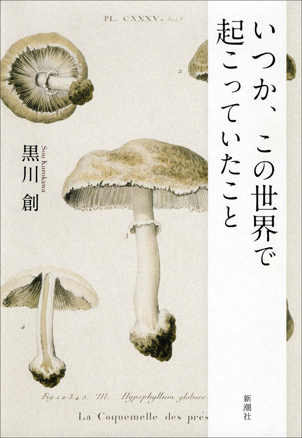 いつか、この世界で起こっていたこと