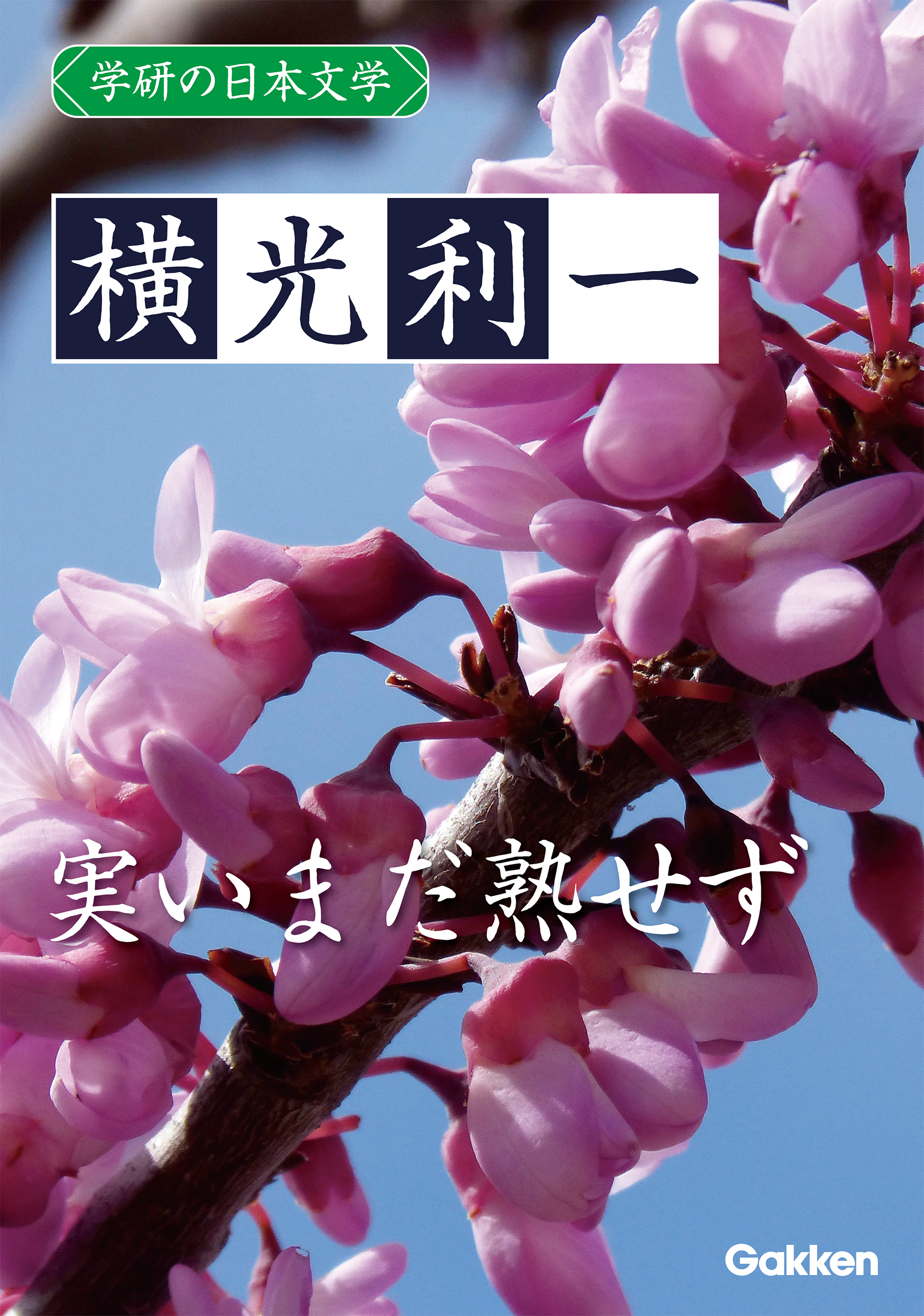 学研の日本文学 横光利一 実いまだ熟せず