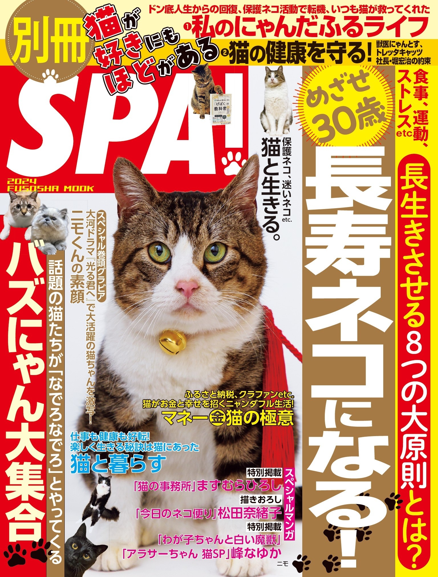 別冊SPA！猫が好きにもほどがある