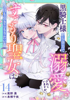 Berry's Fantasy 黒騎士様から全力で溺愛されていますが、すごもり聖女は今日も引きこもりたい!(分冊版)14話