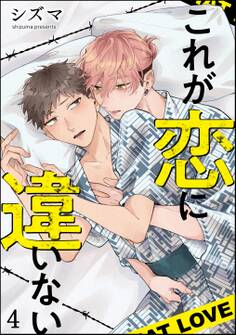 これが恋に違いない(分冊版) 【第4話】