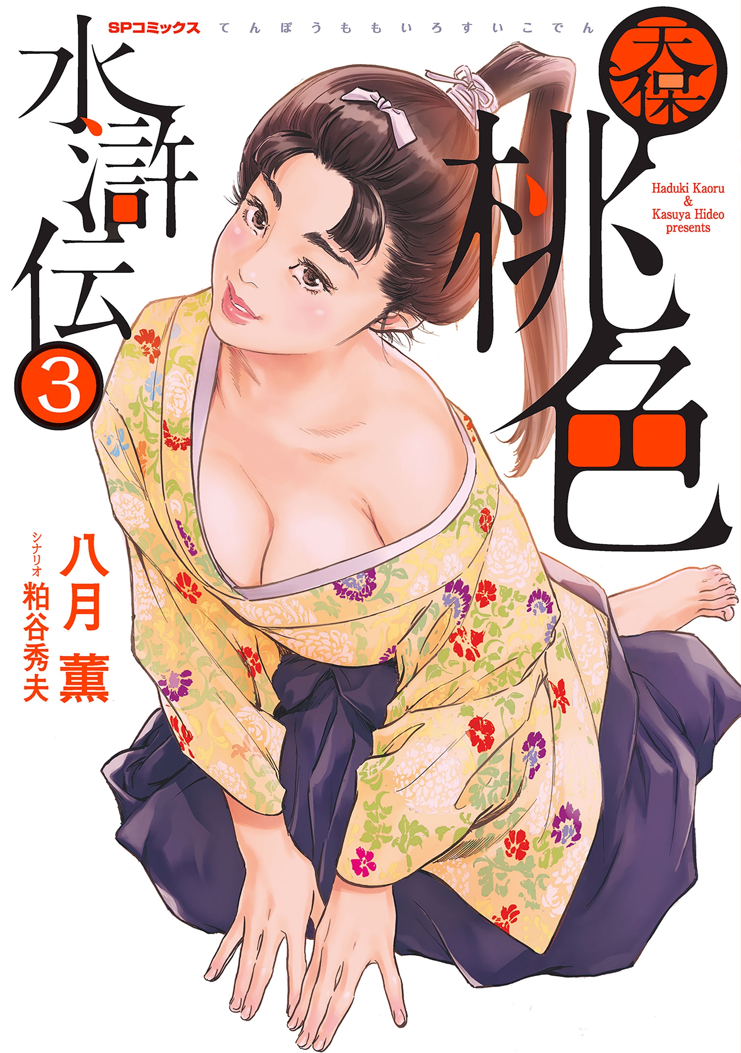 天保桃色水滸伝(3)