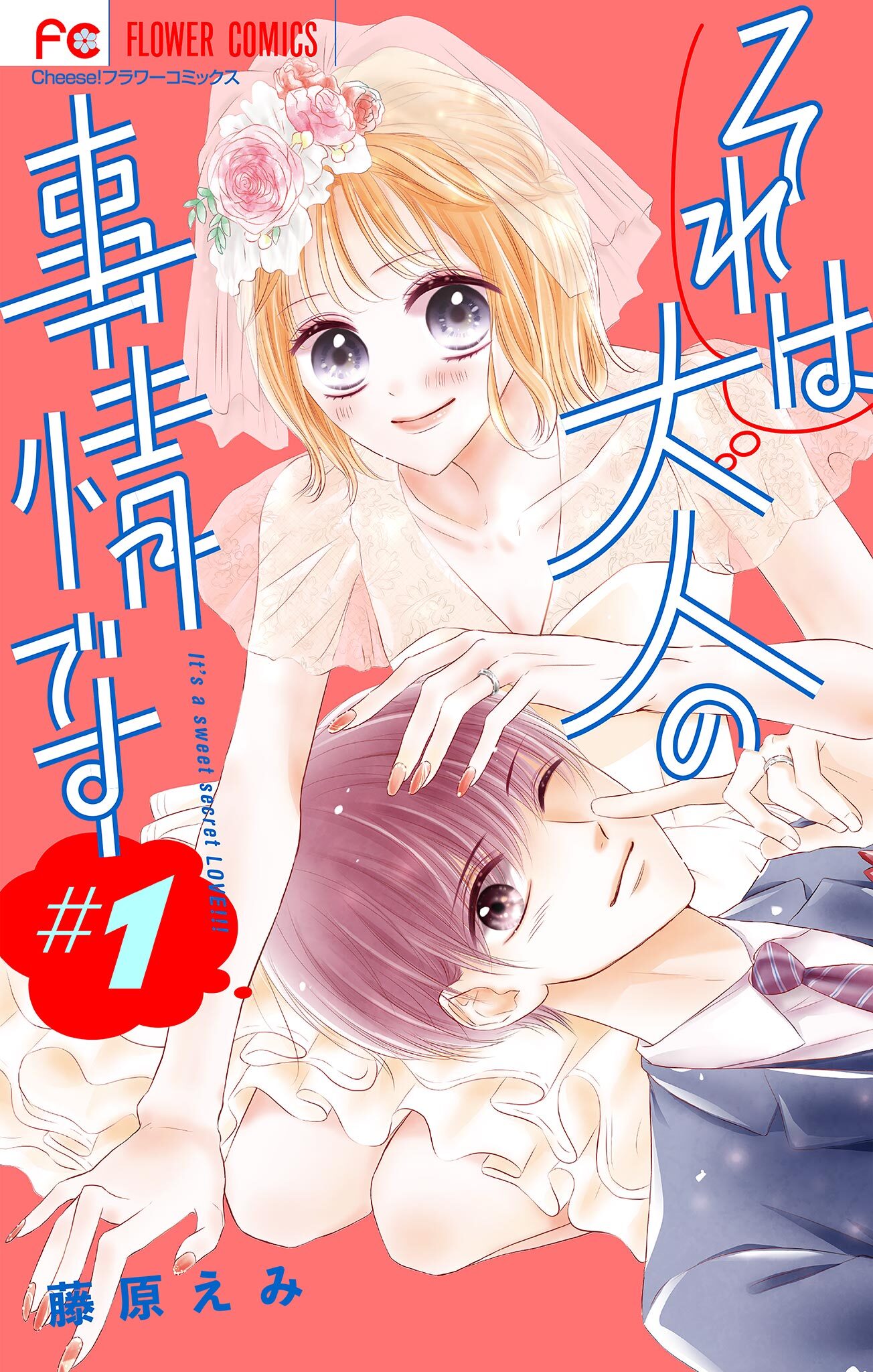 それは大人の事情です【マイクロ】 1