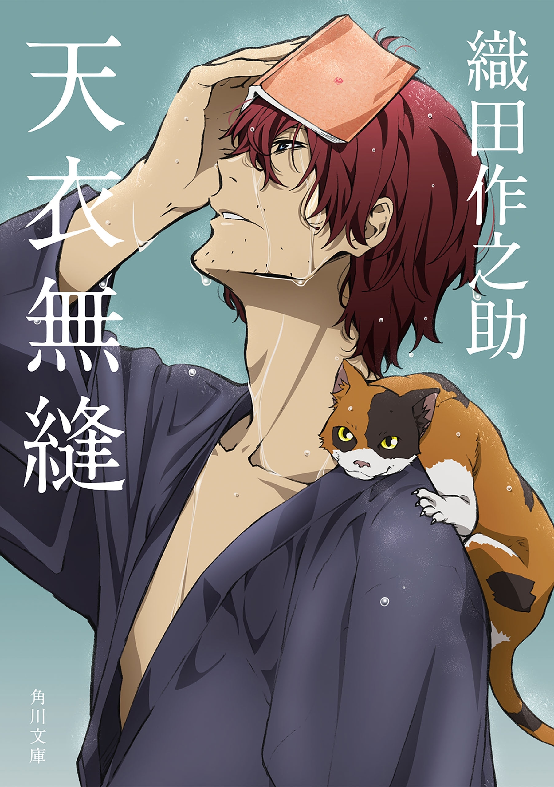 天衣無縫　アニメカバー版