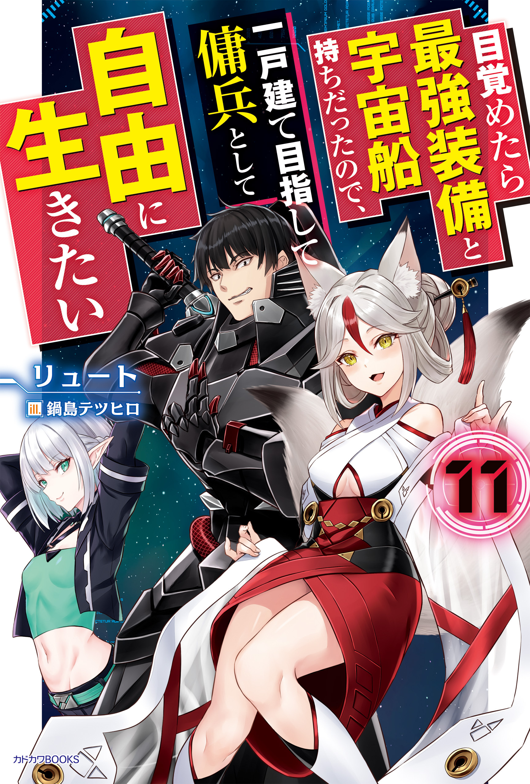 目覚めたら最強装備と宇宙船持ちだったので、一戸建て目指して傭兵として自由に生きたい 11