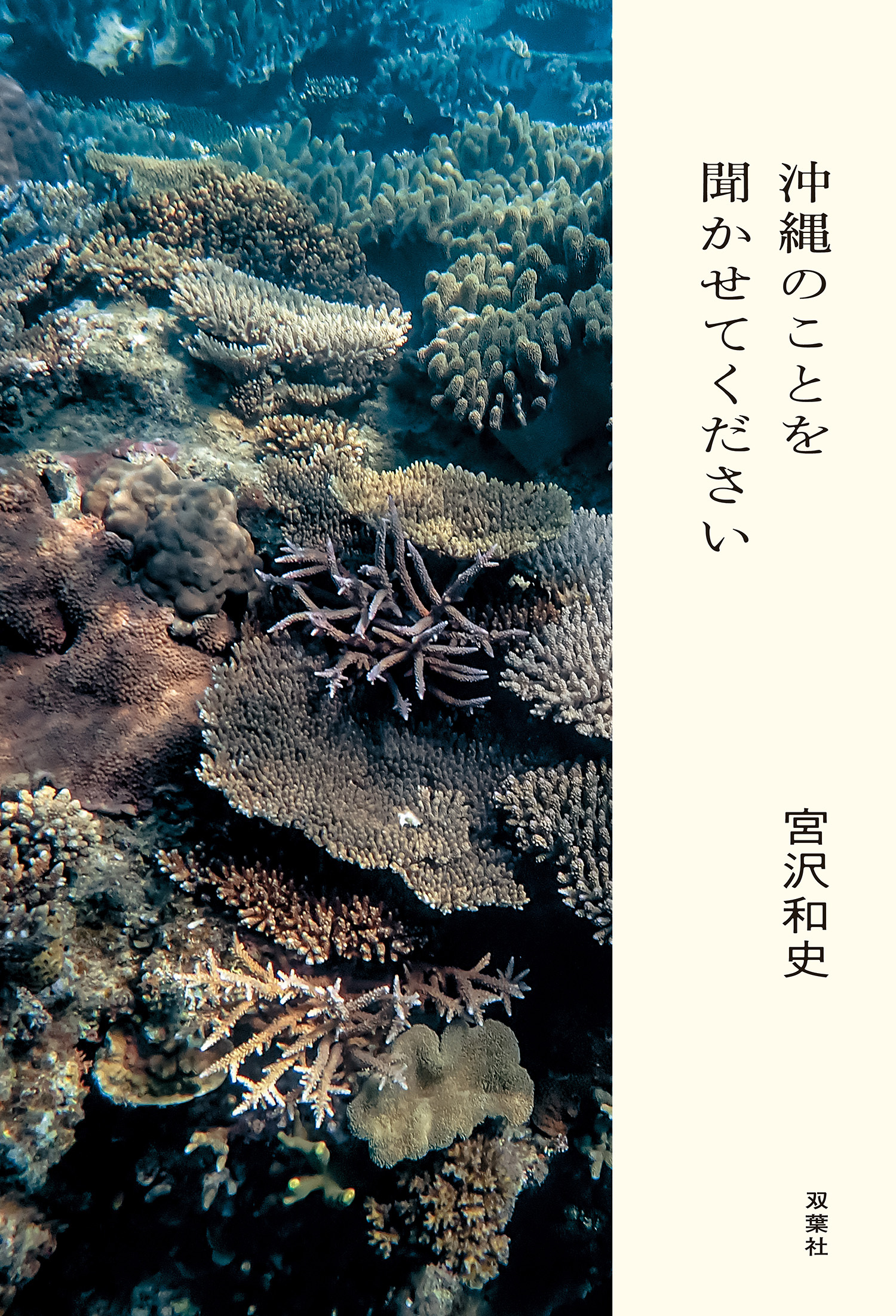 沖縄のことを聞かせてください