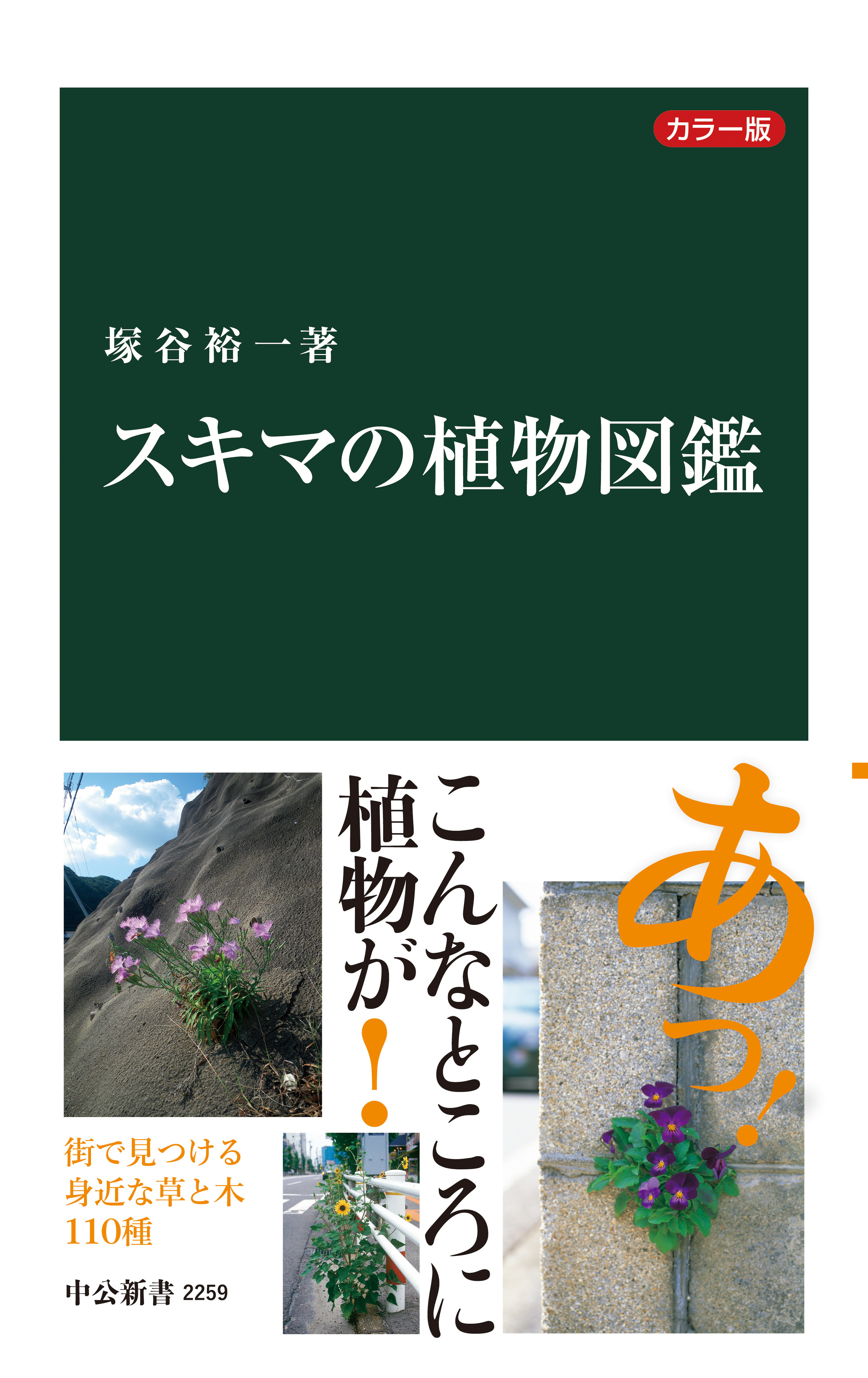カラー版　スキマの植物図鑑