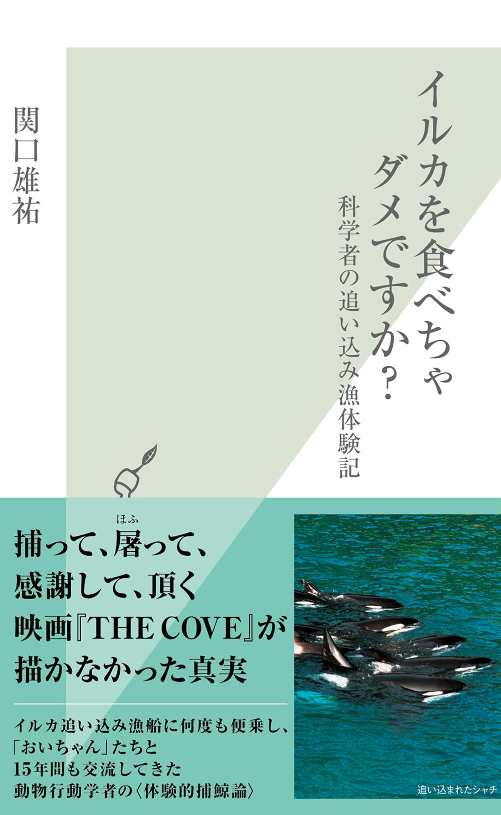 イルカを食べちゃダメですか？～科学者の追い込み漁体験記～