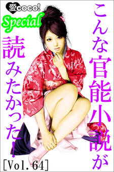 こんな官能小説が読みたかった!vol.64
