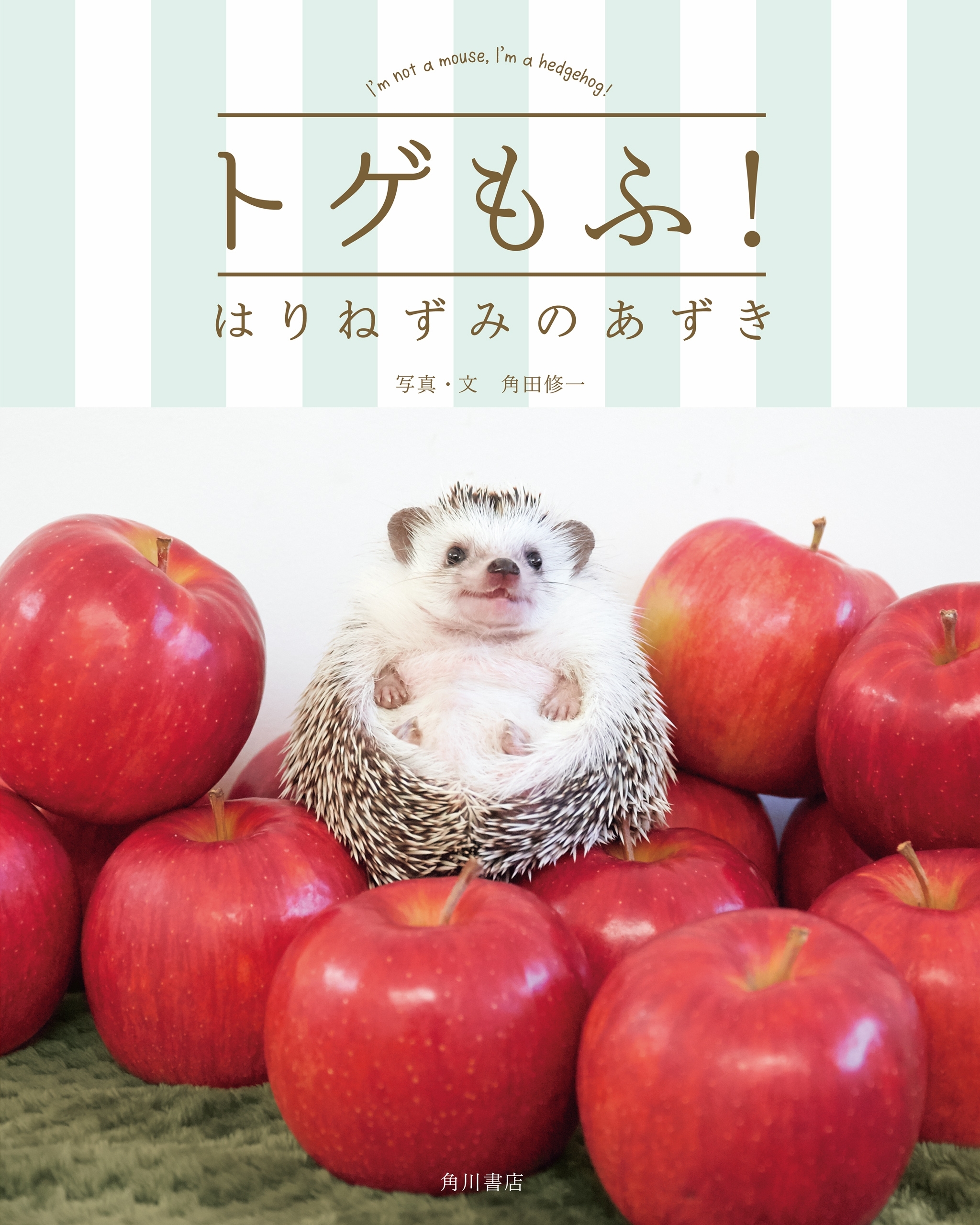 トゲもふ！　はりねずみのあずき