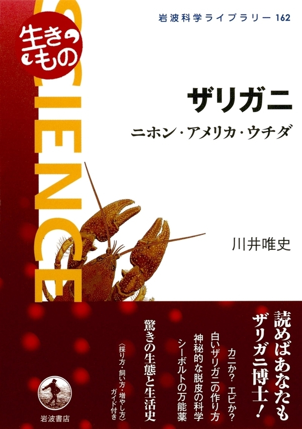〈生きもの〉　ザリガニ　ニホン・アメリカ・ウチダ