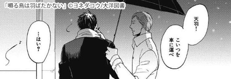 囀る鳥は羽ばたかない1～7巻（さえずる）ヤクザ系BL 囀る鳥は羽ばたかない1～7巻（さえずる）ヤクザ系BL 囀る鳥は