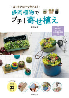 多肉植物でプチ!寄せ植え