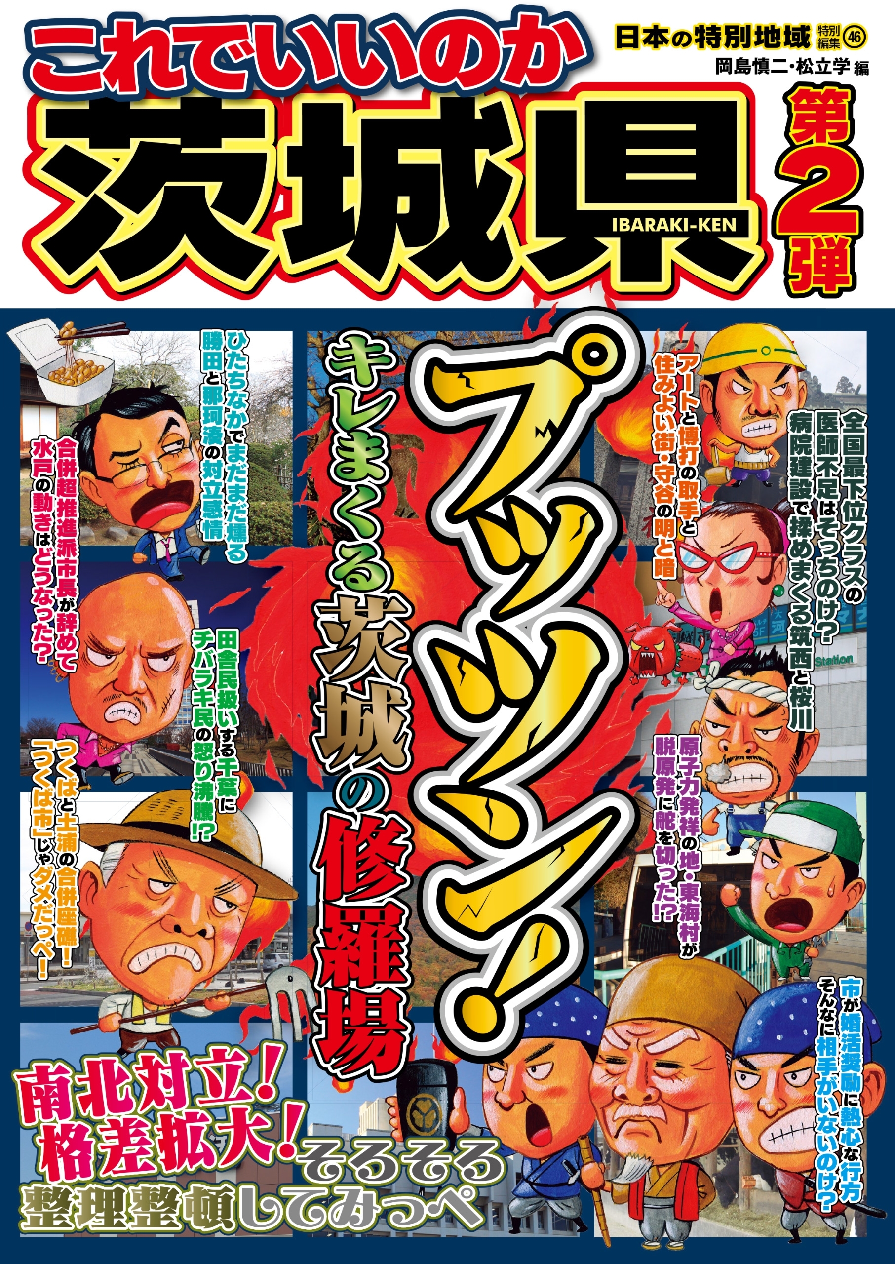日本の特別地域 特別編集46 これでいいのか 茨城県 第2弾