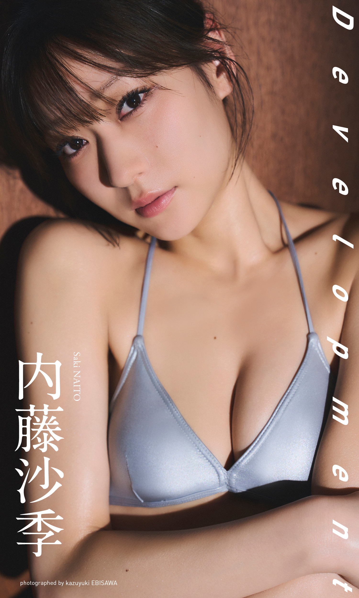 【デジタル限定】内藤沙季写真集「Development」