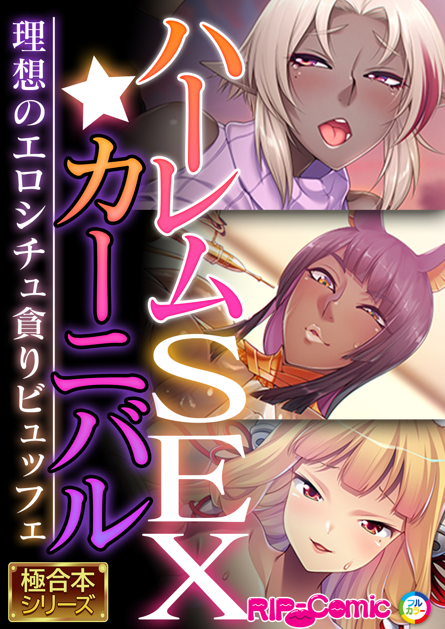 ハーレムSEX☆カーニバル ～理想のエロシチュ貪りビュッフェ～【極合本シリーズ】