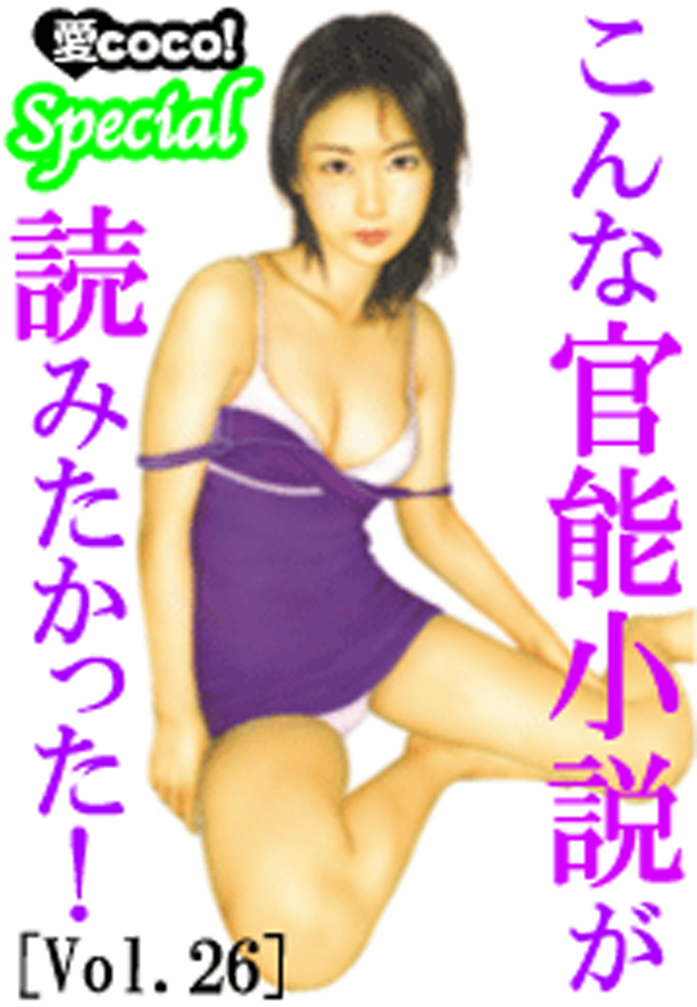 こんな官能小説が読みたかった！vol.26