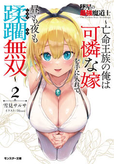 墜星の最強魔道士 ~亡命王族の俺は可憐な嫁を手に入れて、昼も夜も蹂躙無双~(ノベル)